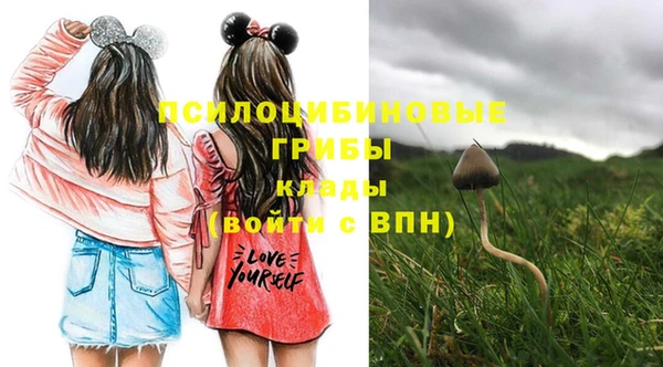 марки nbome Алзамай