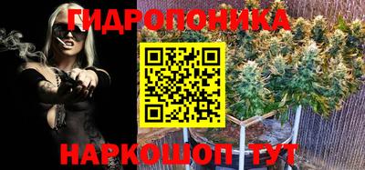винт Усть-Джегута