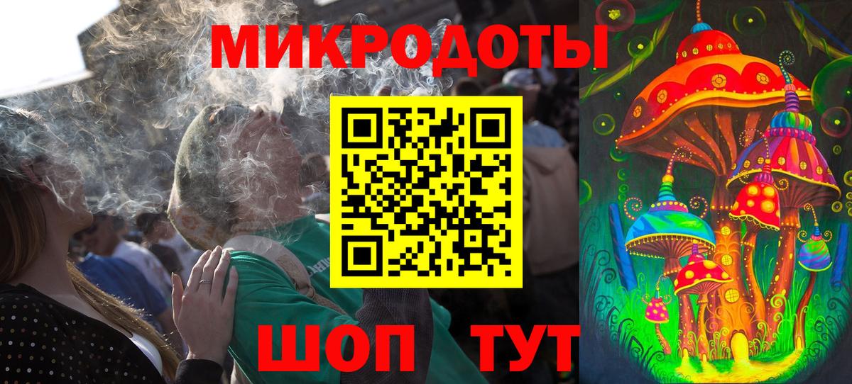 Псилоцибиновые грибы Psilocybine cubensis Белгород